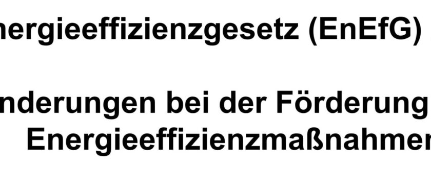 Vortrag zum Energieeffizienzgesetz (EnEfG)