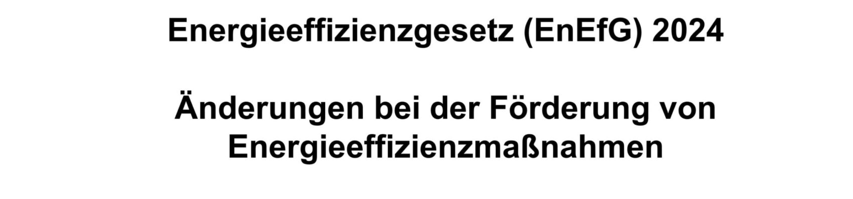 Vortrag zum Energieeffizienzgesetz (EnEfG) 2024